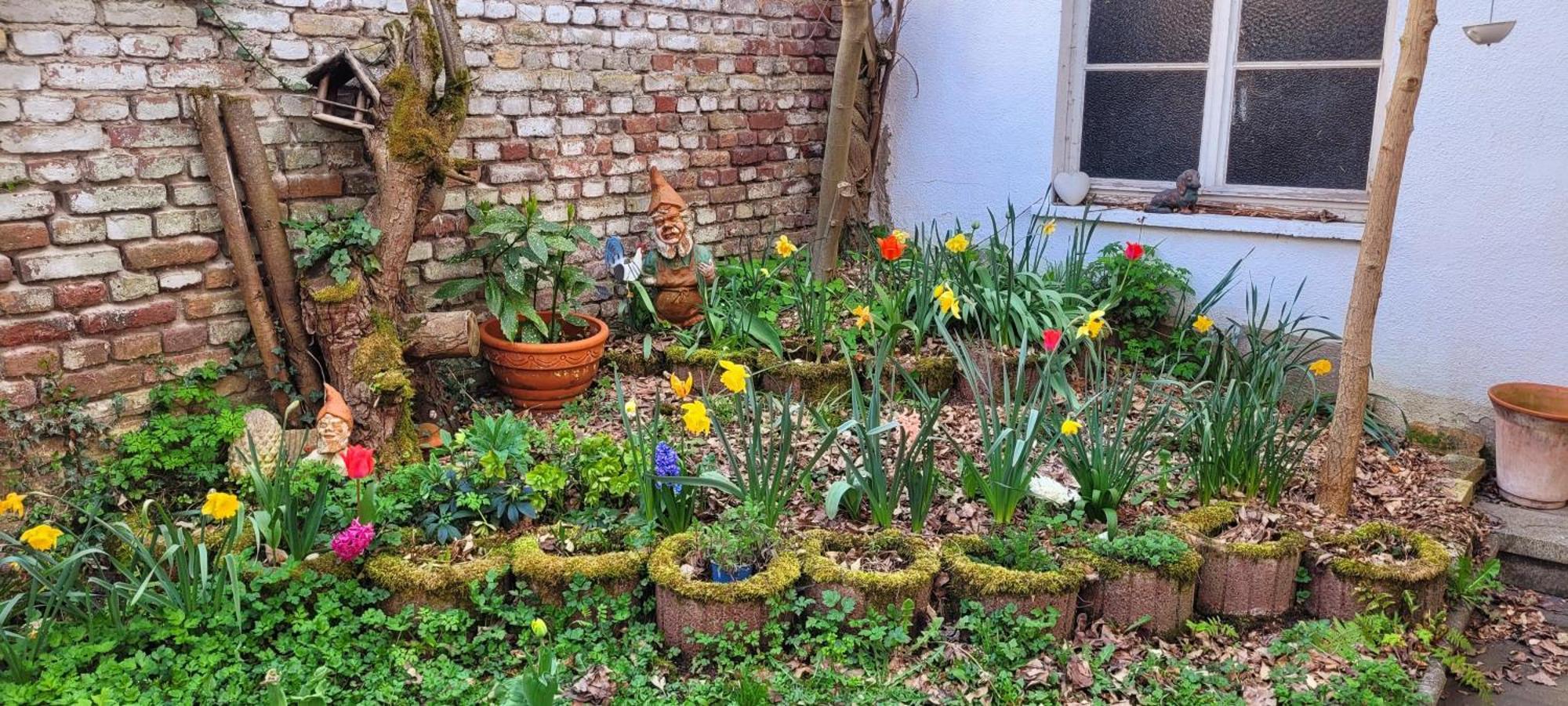 Urlaub Am Rhein, Ferienwohnung Mit Garten Boppard Luaran gambar