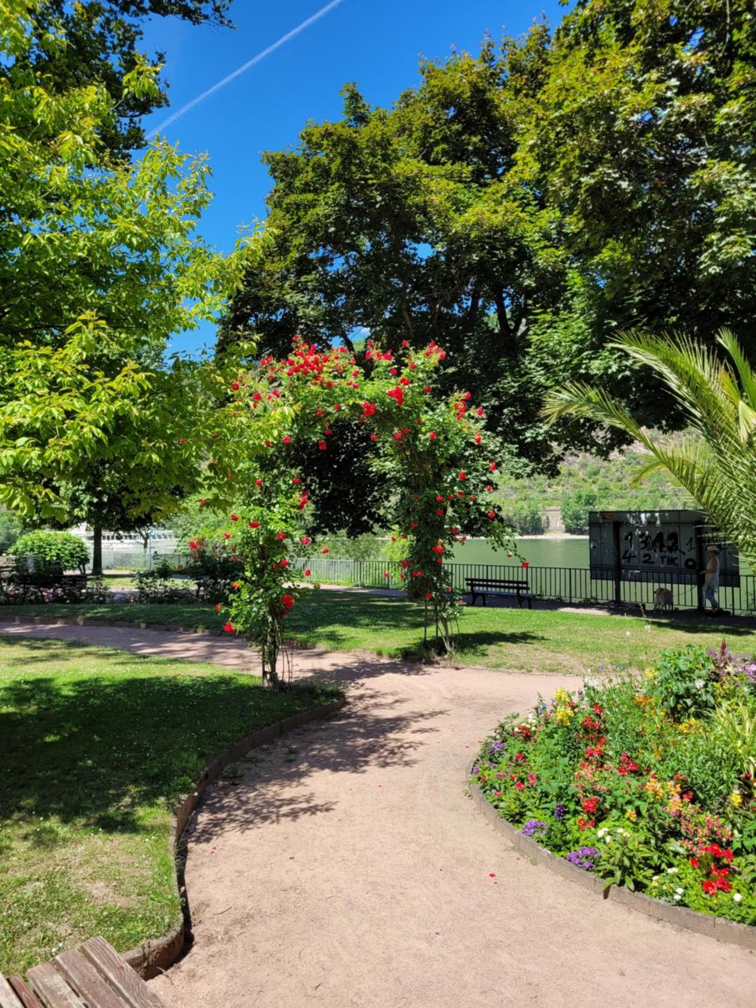 Urlaub Am Rhein, Ferienwohnung Mit Garten Boppard Luaran gambar
